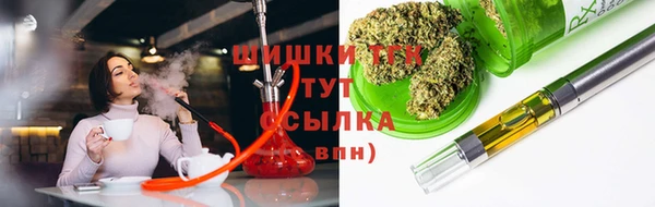 дживик Новозыбков