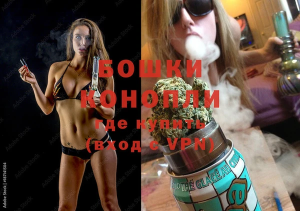 дживик Новозыбков