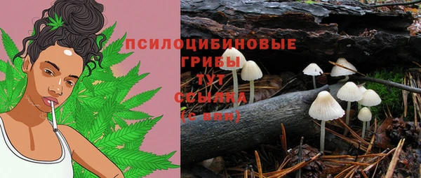 не бодяженный Новодвинск