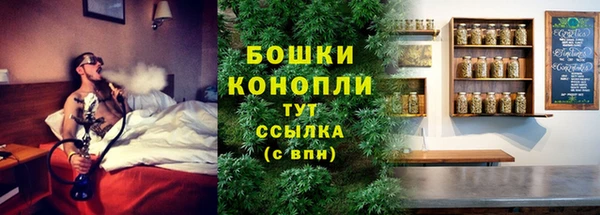 не бодяженный Новодвинск