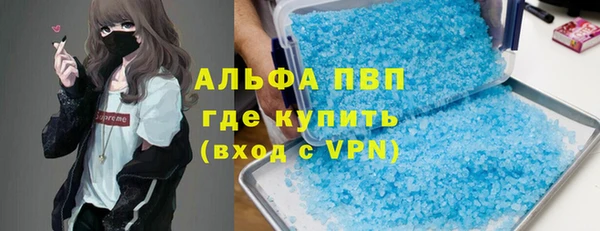 дживик Новозыбков