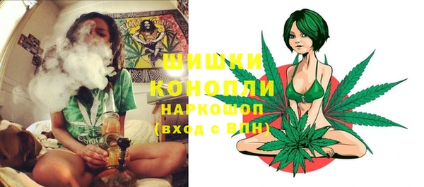 не бодяженный Новодвинск