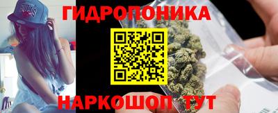 стаф Берёзовский