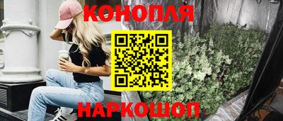 стаф Берёзовский