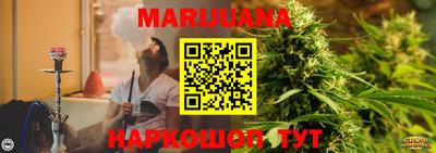 стаф Берёзовский