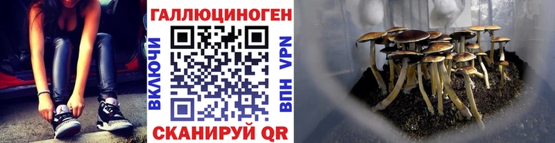 Псилоцибиновые грибы Psilocybine cubensis Урюпинск