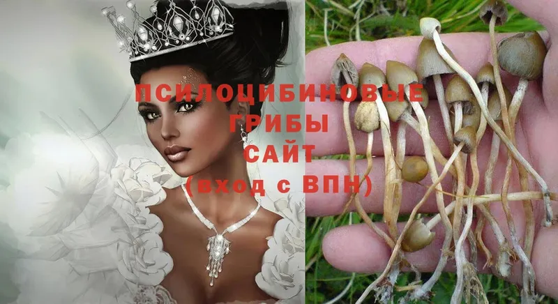 MEGA ТОР  Урюпинск  Псилоцибиновые грибы Magic Shrooms 