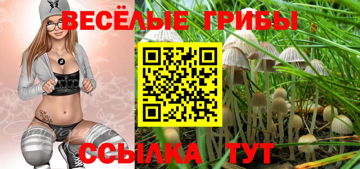 Галлюциногенные грибы Cubensis Урюпинск