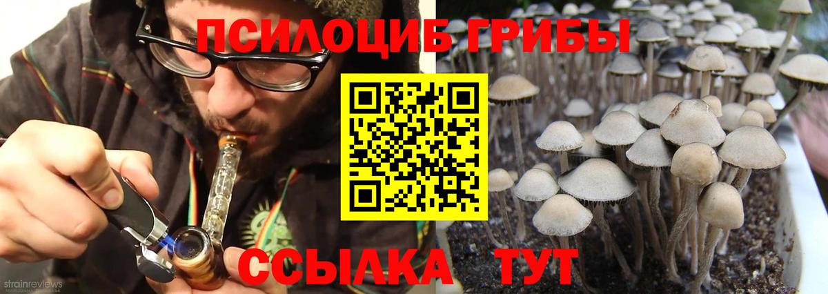 Урюпинск  Галлюциногенные грибы Magic Shrooms  где можно купить   Вход с VPN 