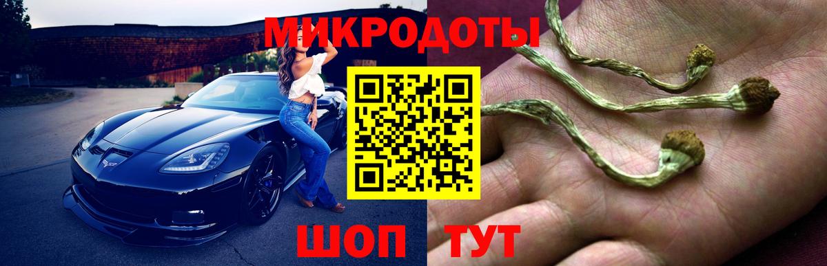 Псилоцибиновые грибы мицелий  купить закладку  Урюпинск 